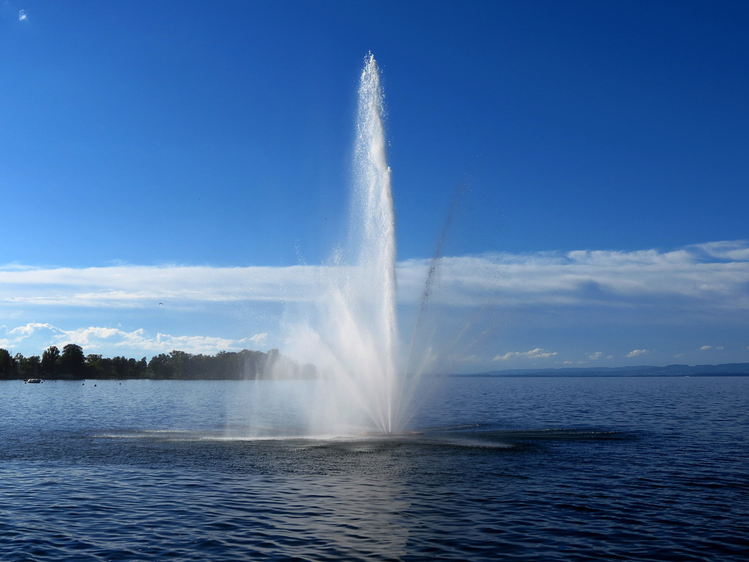 Water