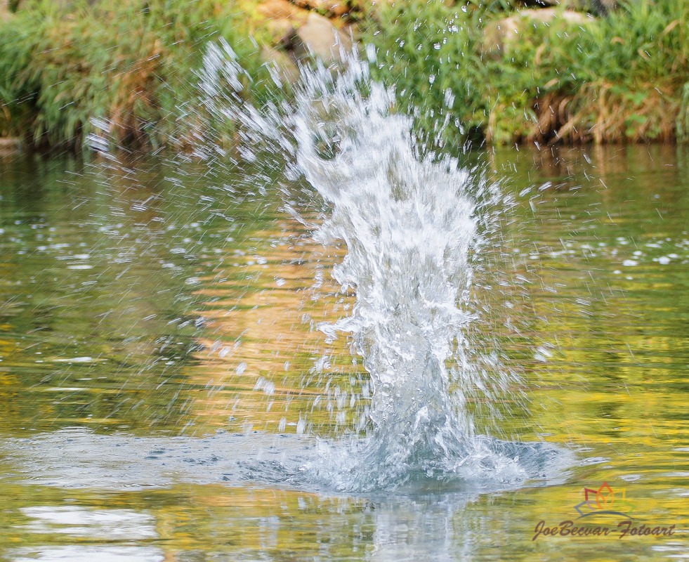 Splash im Fluss 