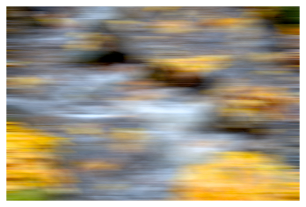 Die "Us" im Herbst