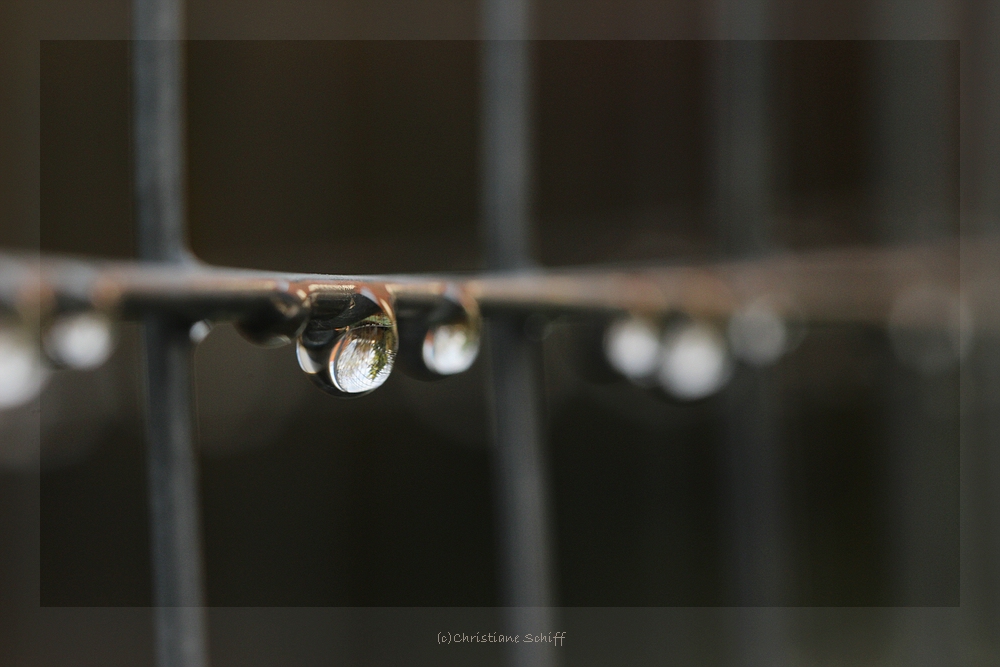 Regen - Estrichmatte - Frost 2