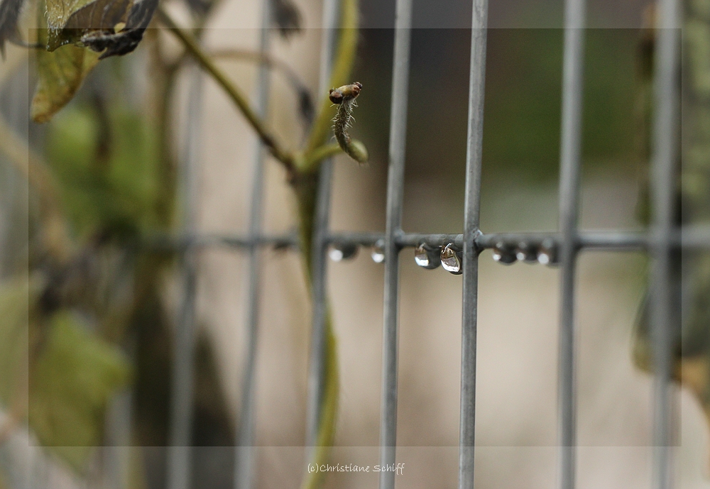 Regen - Estrichmatte - Frost  3