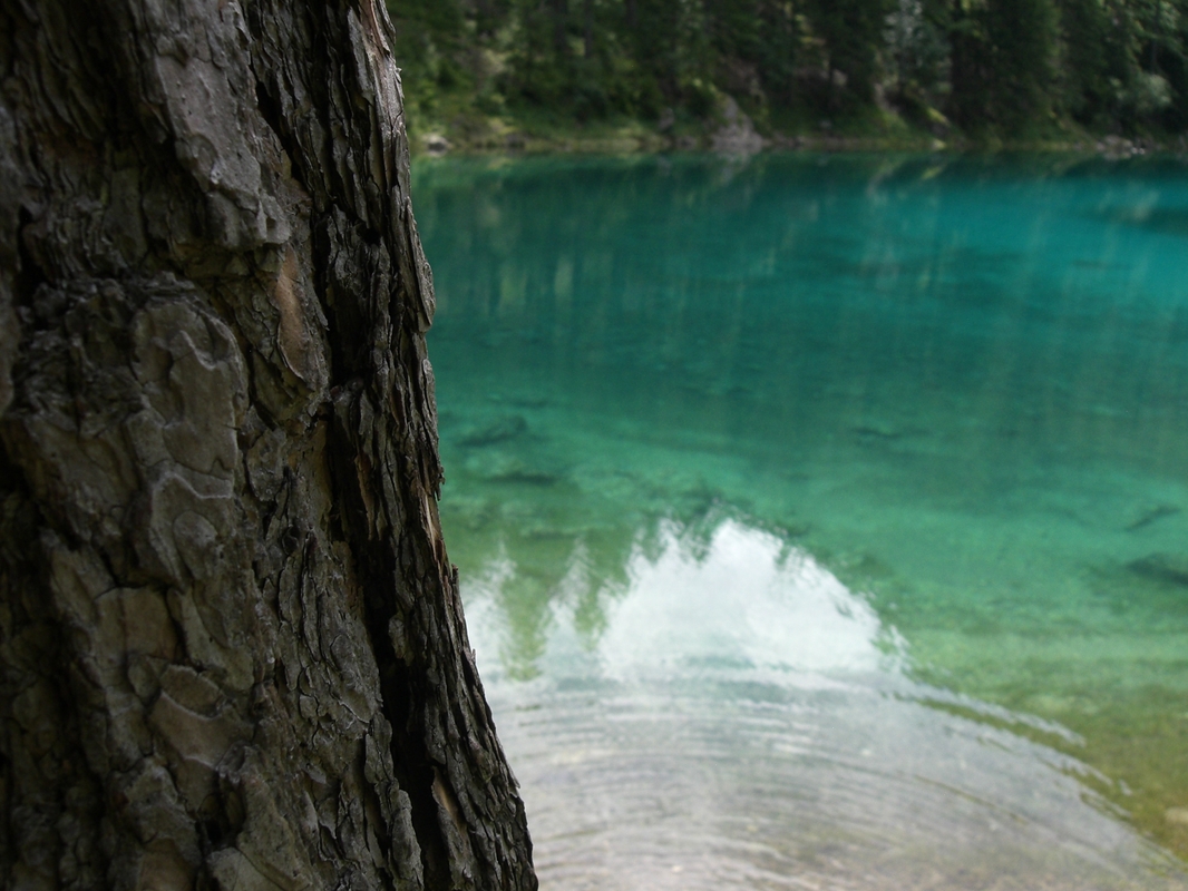 grüner See