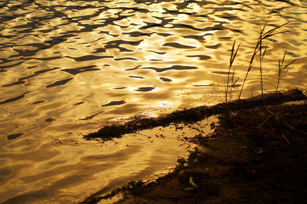 Flüssiges Gold.....