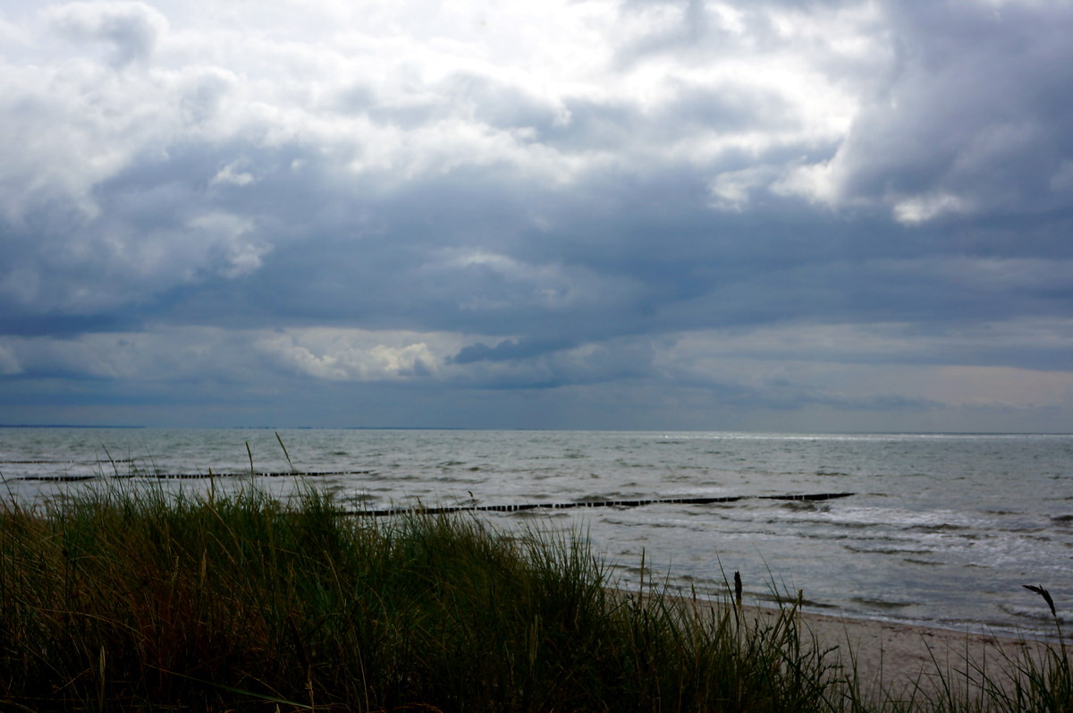 Am Strand auf Hiddensee