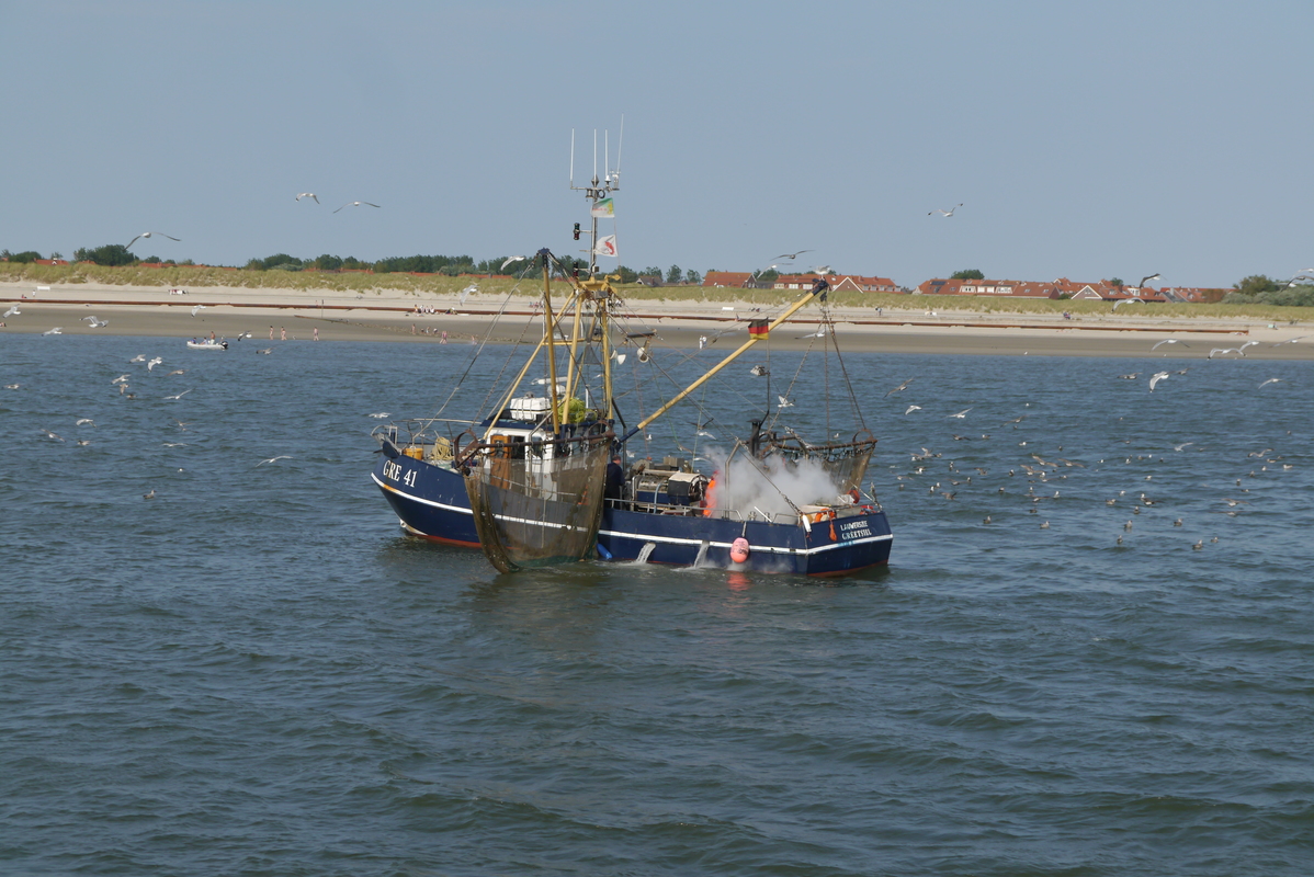 Fischerboot vor Norderney