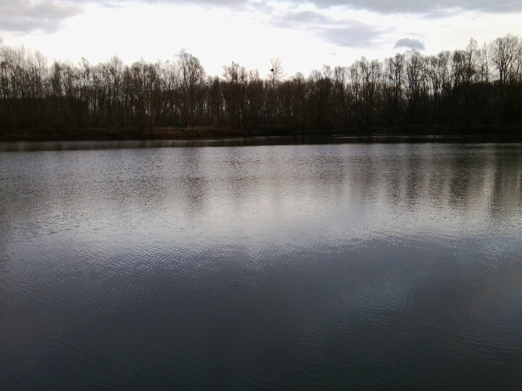 Altrhein :-)
