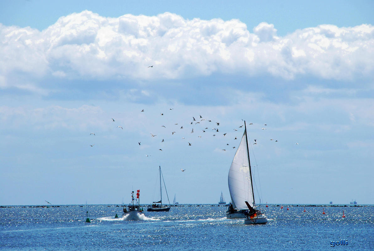 Fehmarn Burg Stau in der Hafeneinfahrt