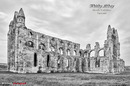 Die Ruinen der Abtei von Whitby