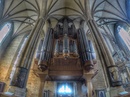 Domorgel