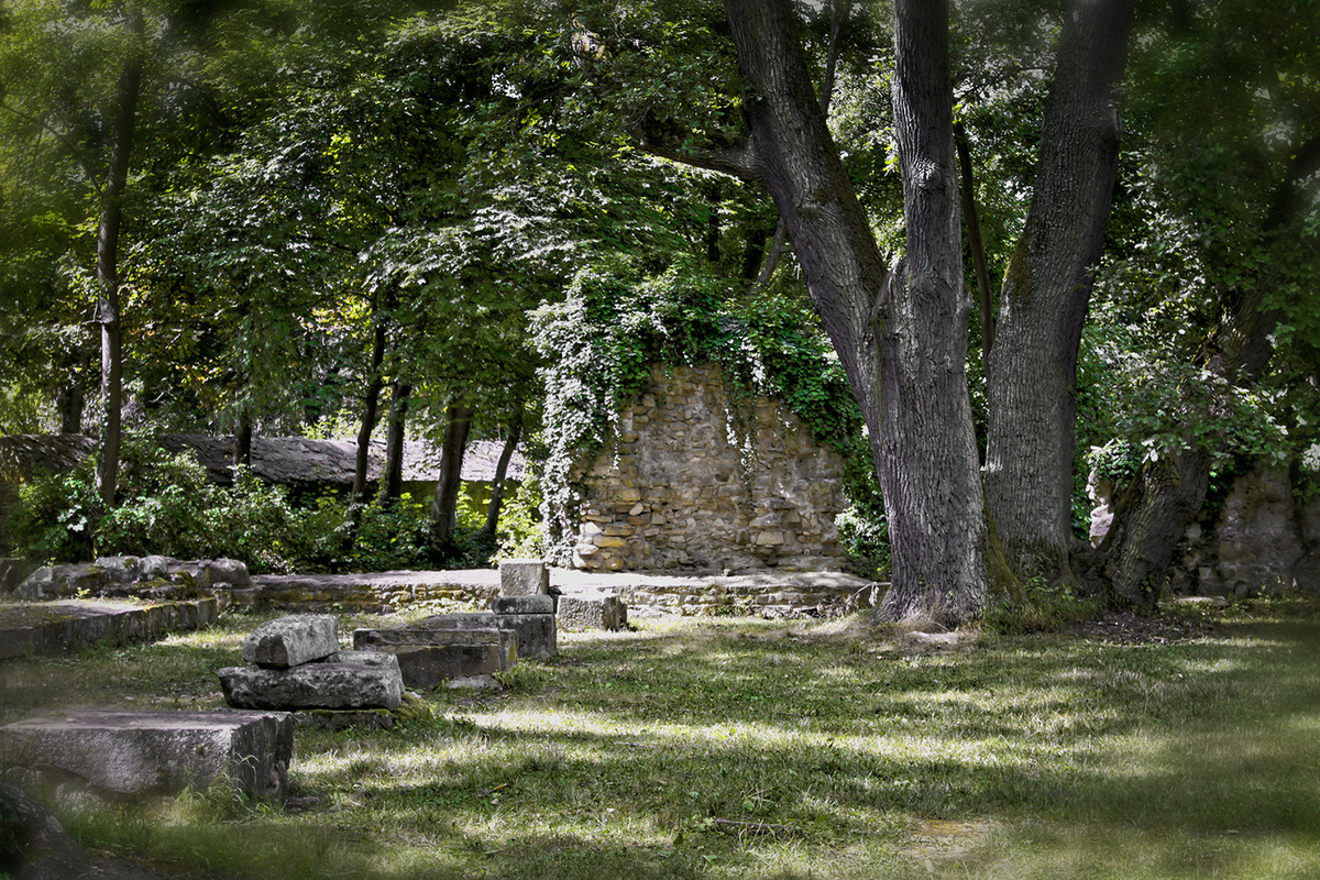 Klosterruine Disibodenberg - da wo der Baum steht, war der Eingang zur Kirchenhalle