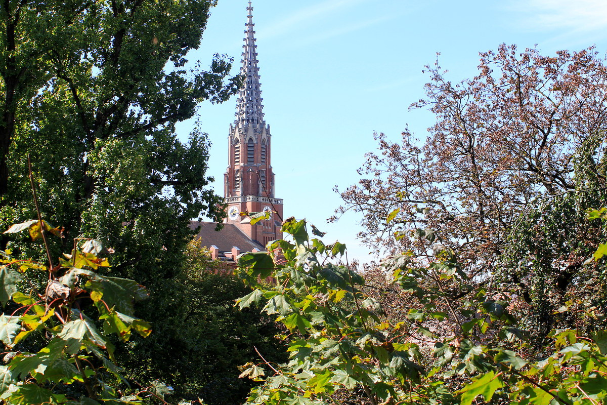 Ausblick !!