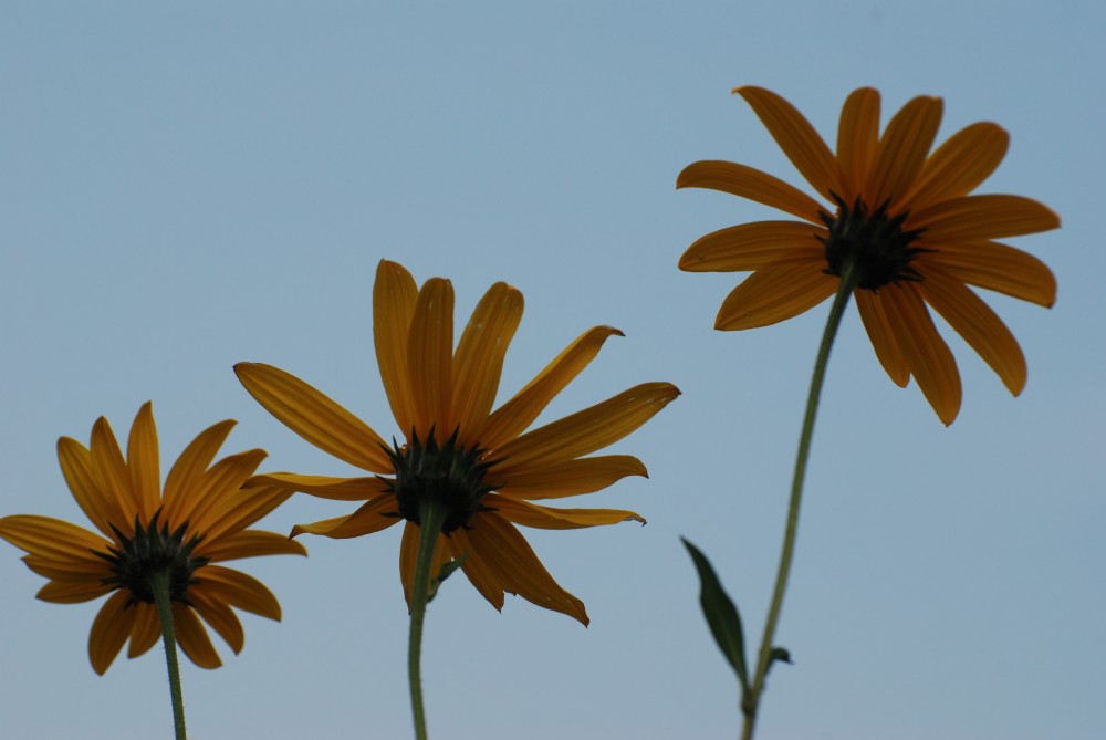 Hoffnung auf Fotowetter