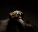 sleeping