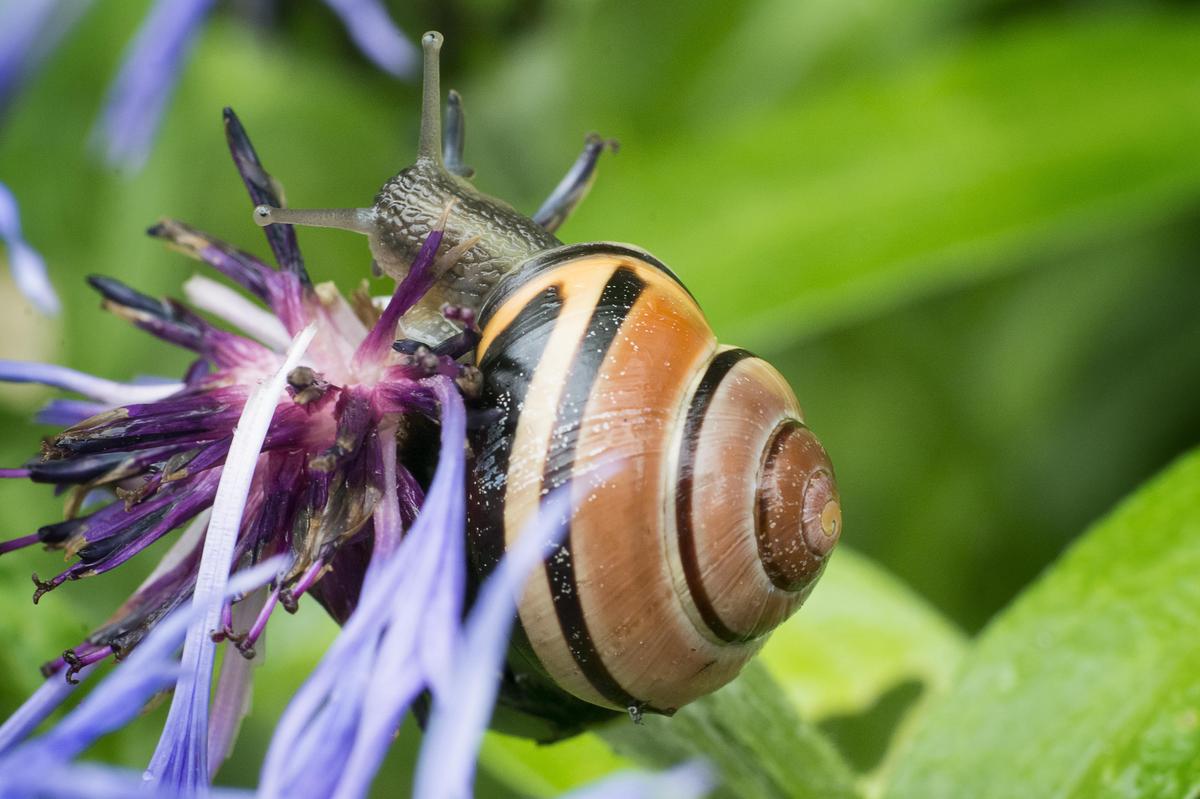 morgens beim Frühstück
