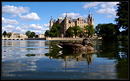 Fotos_Enten, Schwäne, Gänse