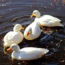 Dreck macht uns nichts aus