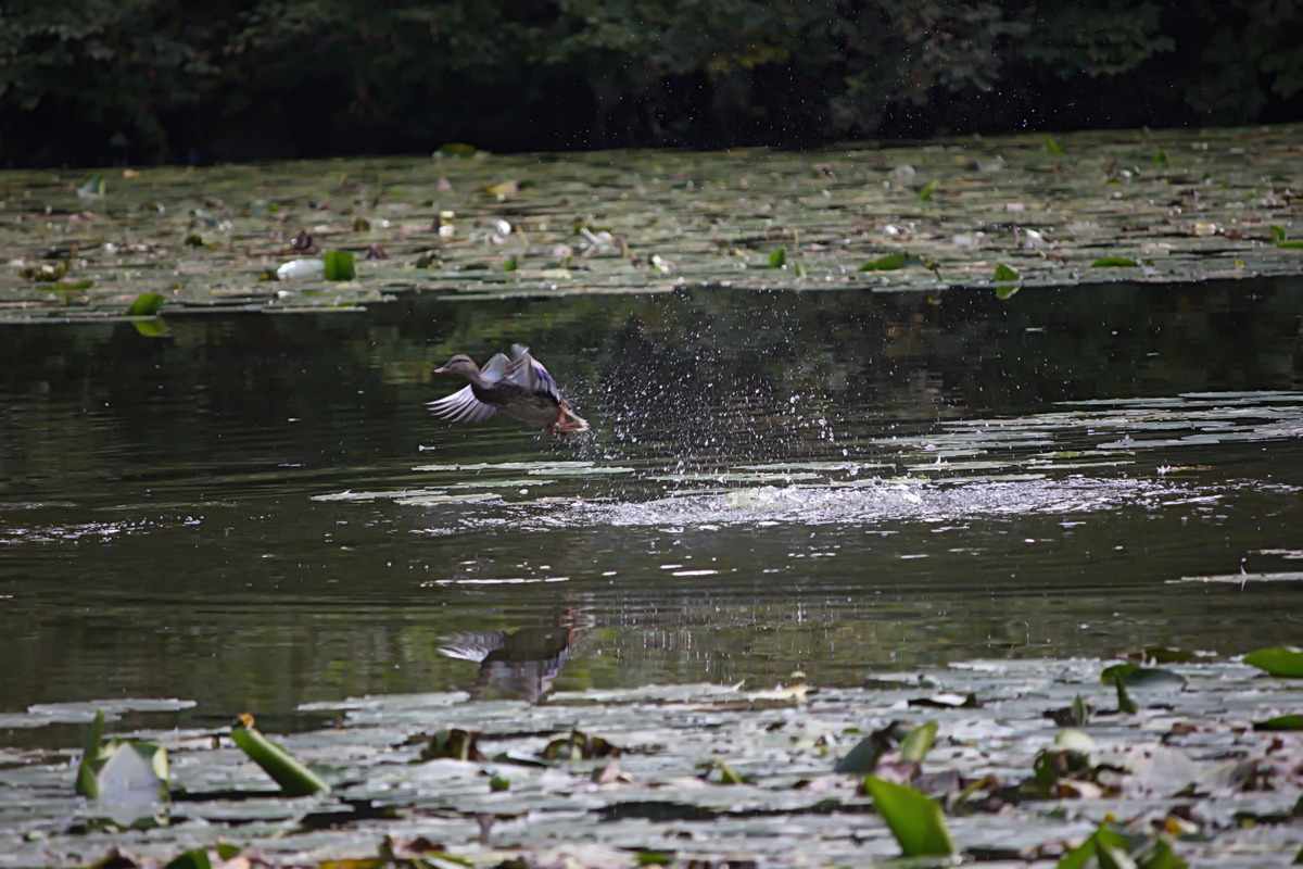 Beim Abflug