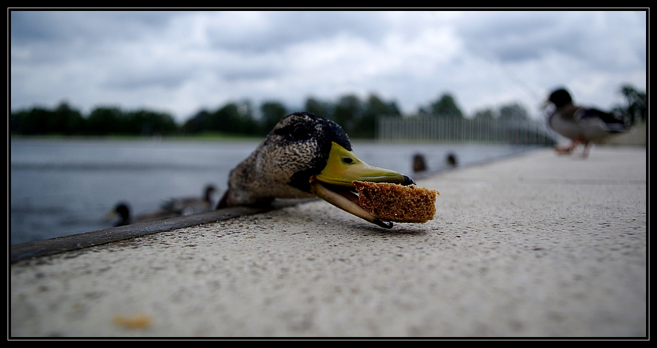 Meins.... II