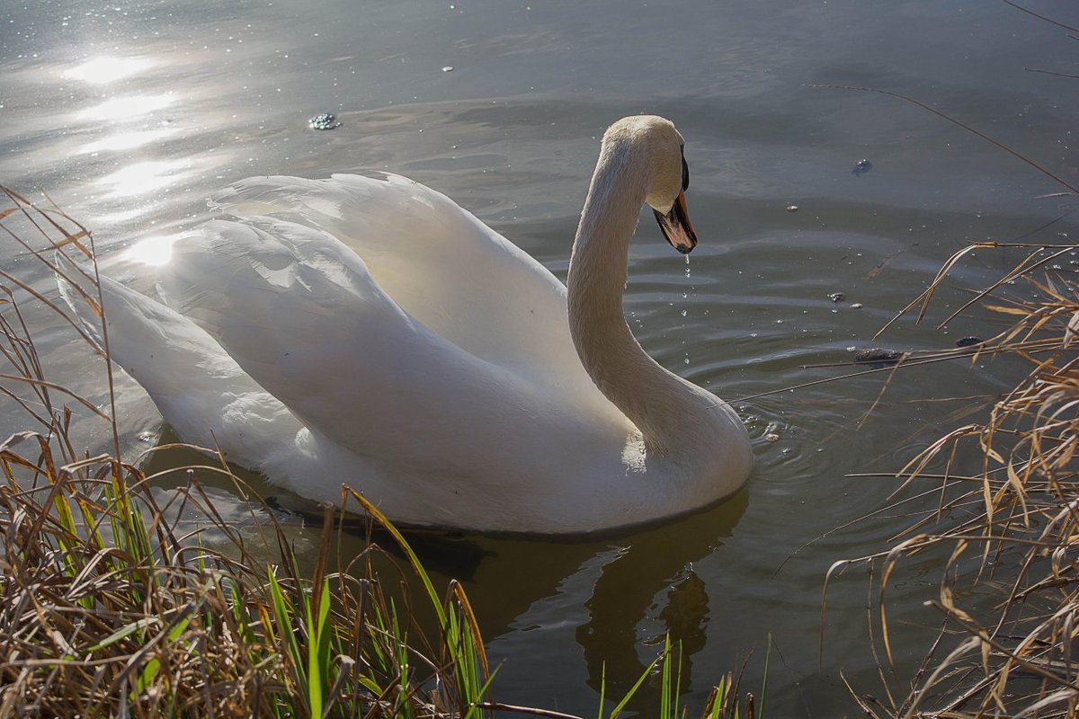 In der Abenddämmerung!