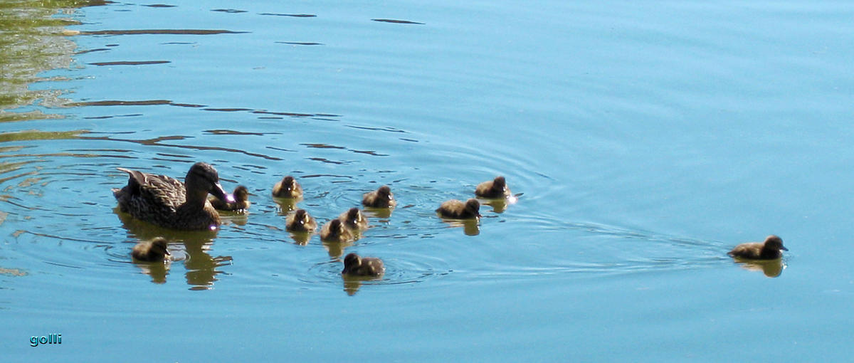 ..... Erster ... bin dann mal weg ;-)