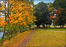 Fotos_Herbst