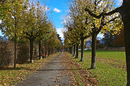 Allee im Herbst