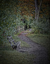 der herbst beginnt
