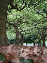 Die schönen Seiten des Herbst