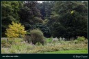 Fotos_Herbst