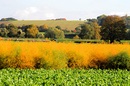 Herbst