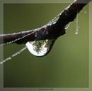 Herbststimmung mit Spinnenweben 19