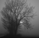 Novembermorgen