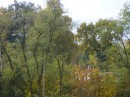 Fotos_Herbst