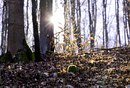 Fotos_Herbst
