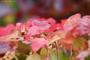 Herbst 2014