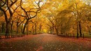 Herbststimmung