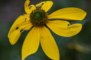 Fotos_Herbst