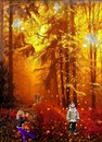 Der Zauberwald