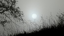 Nebelsonne