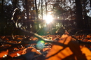 Fotos_Herbst