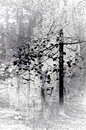 Im Herbst
