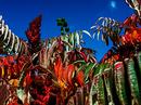 Herbstfarben