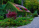 Haus am Wald