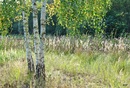 sonniger Herbstnachmittag