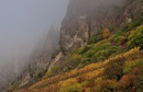 Fotos_Herbst