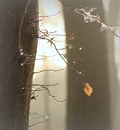 Herbst