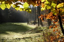 Fotos_Herbst