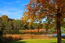am Dagowsee