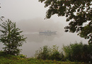 Morgennebel