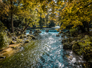 Englische Garten München